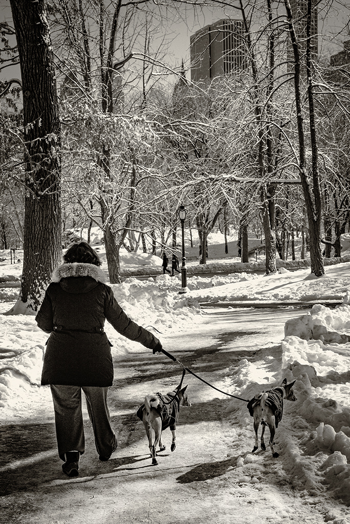 150. Central Park