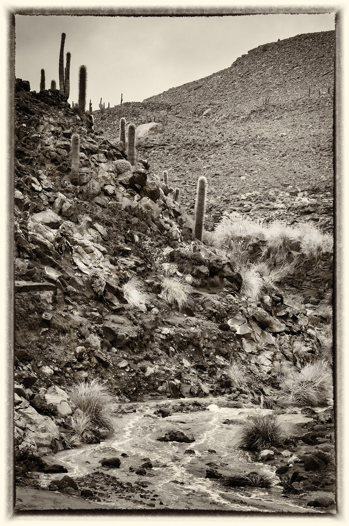 21 Altiplano