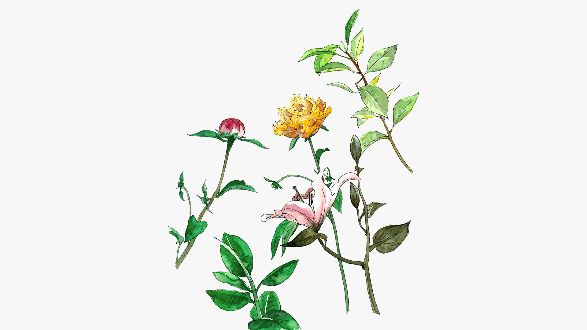 装丁・イラスト