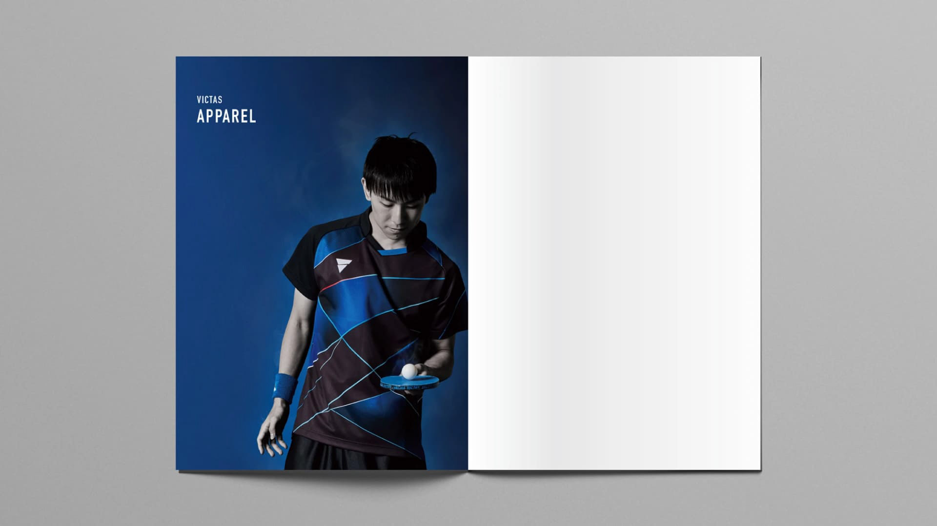 VICTAS catalog