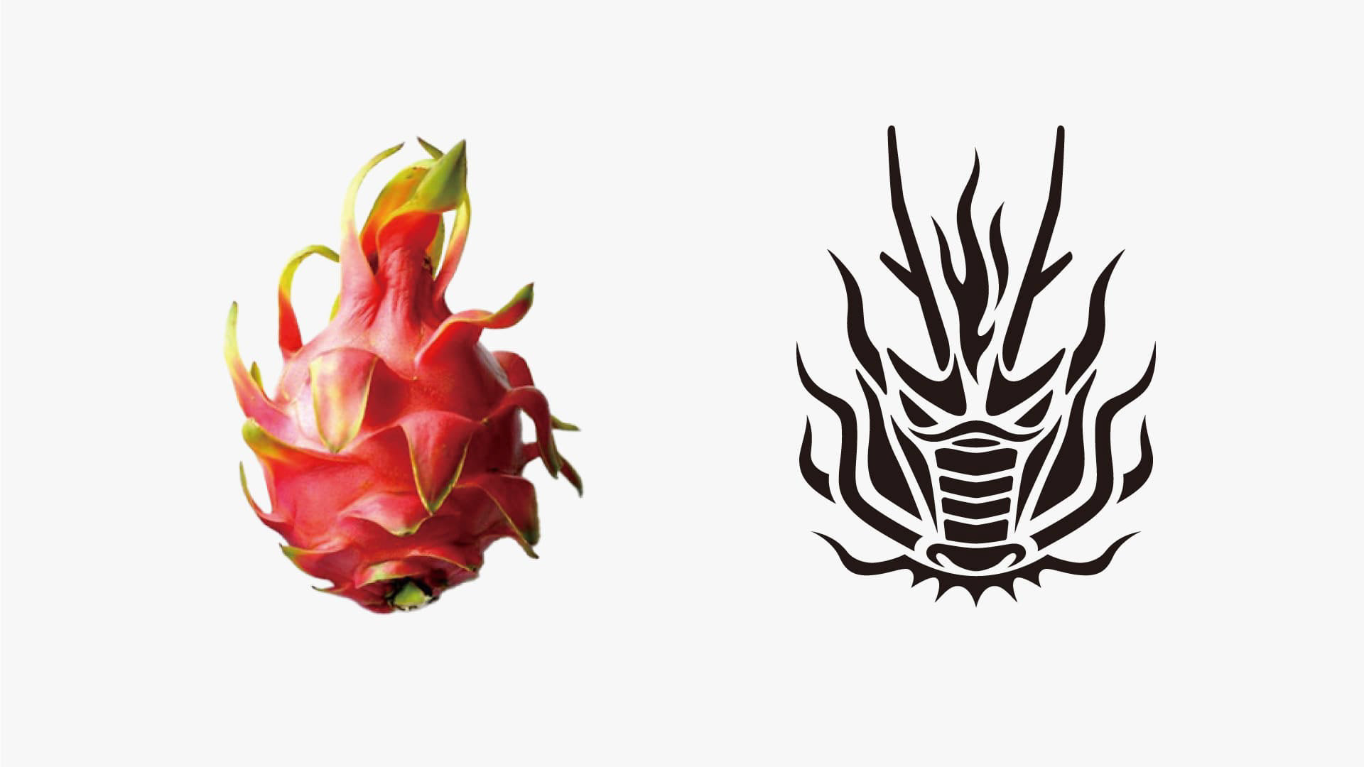 奥飛騨ドラゴンロゴ