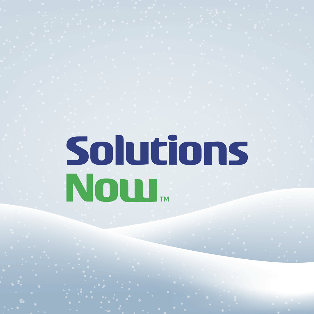 The Holidays Take Wing:  Touching down to deliver holiday greetings.
