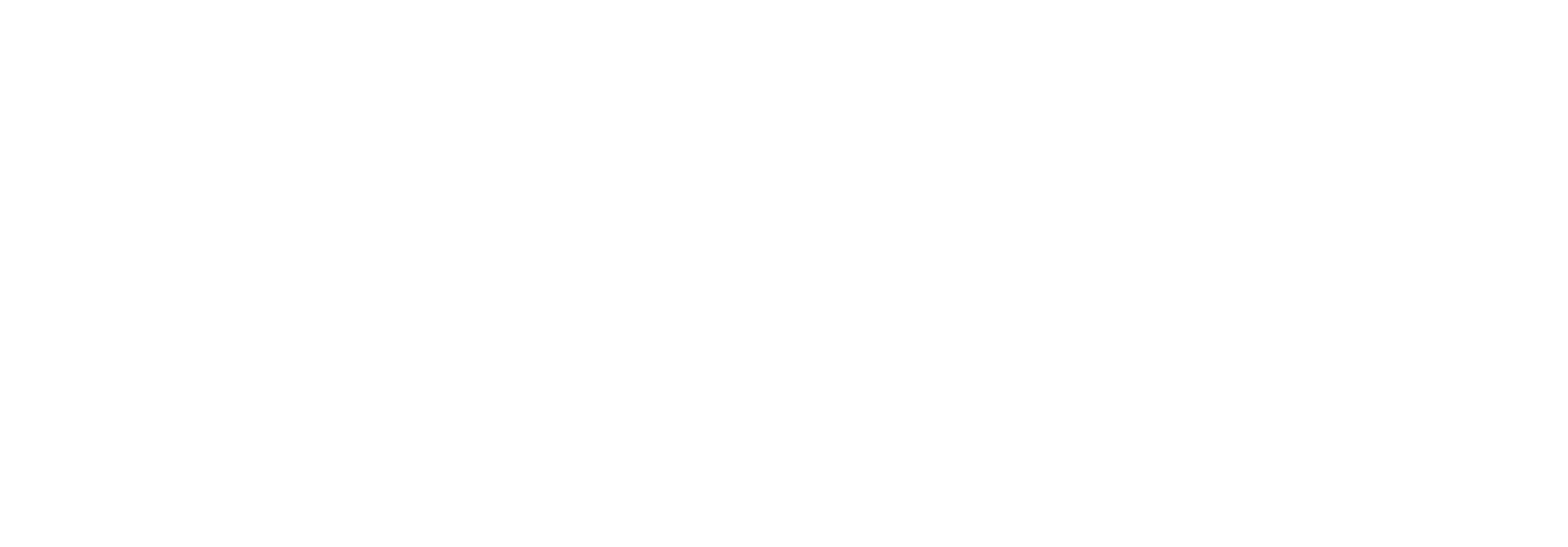 Dogma Studio