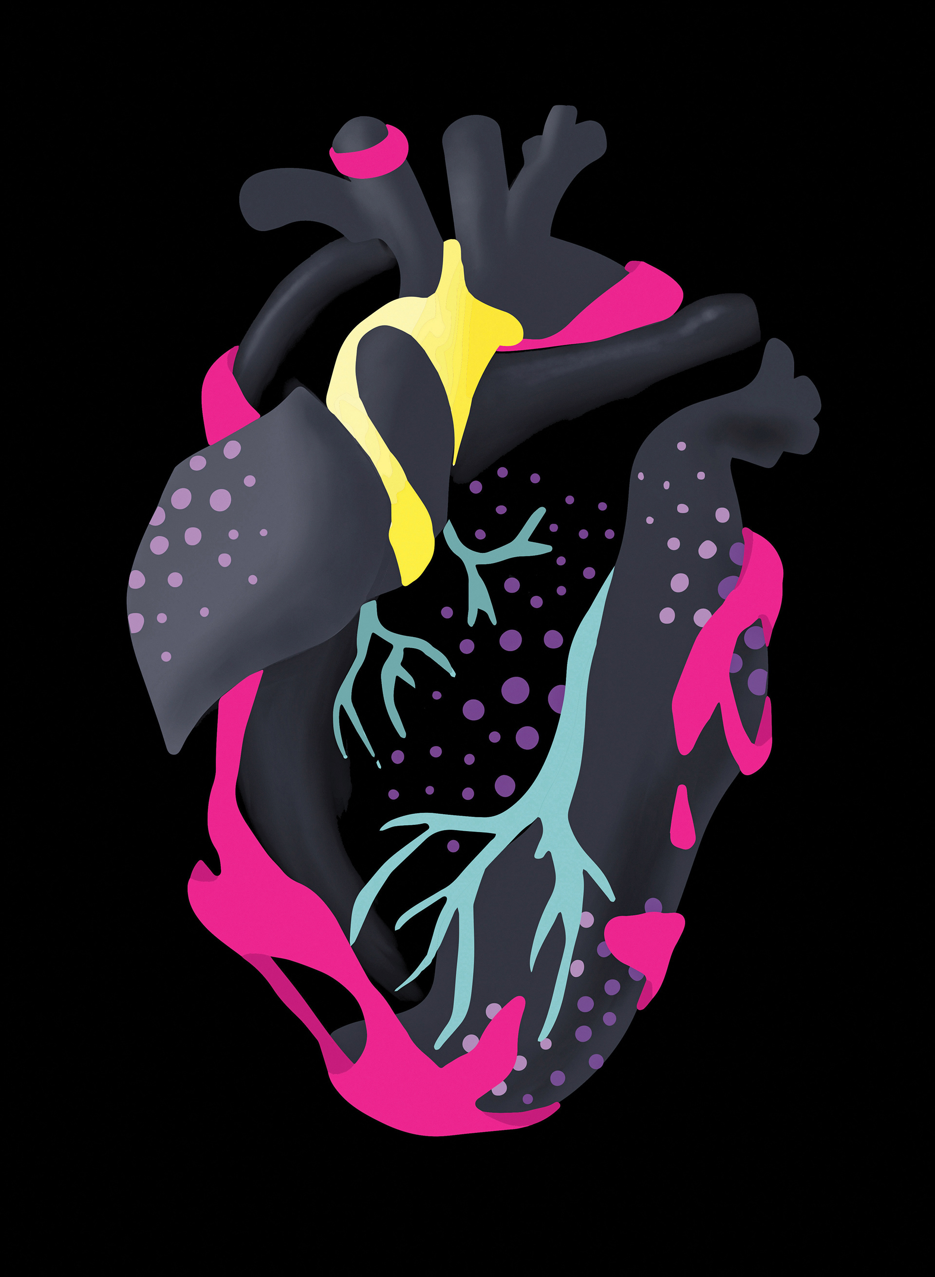 ANATOMÍA