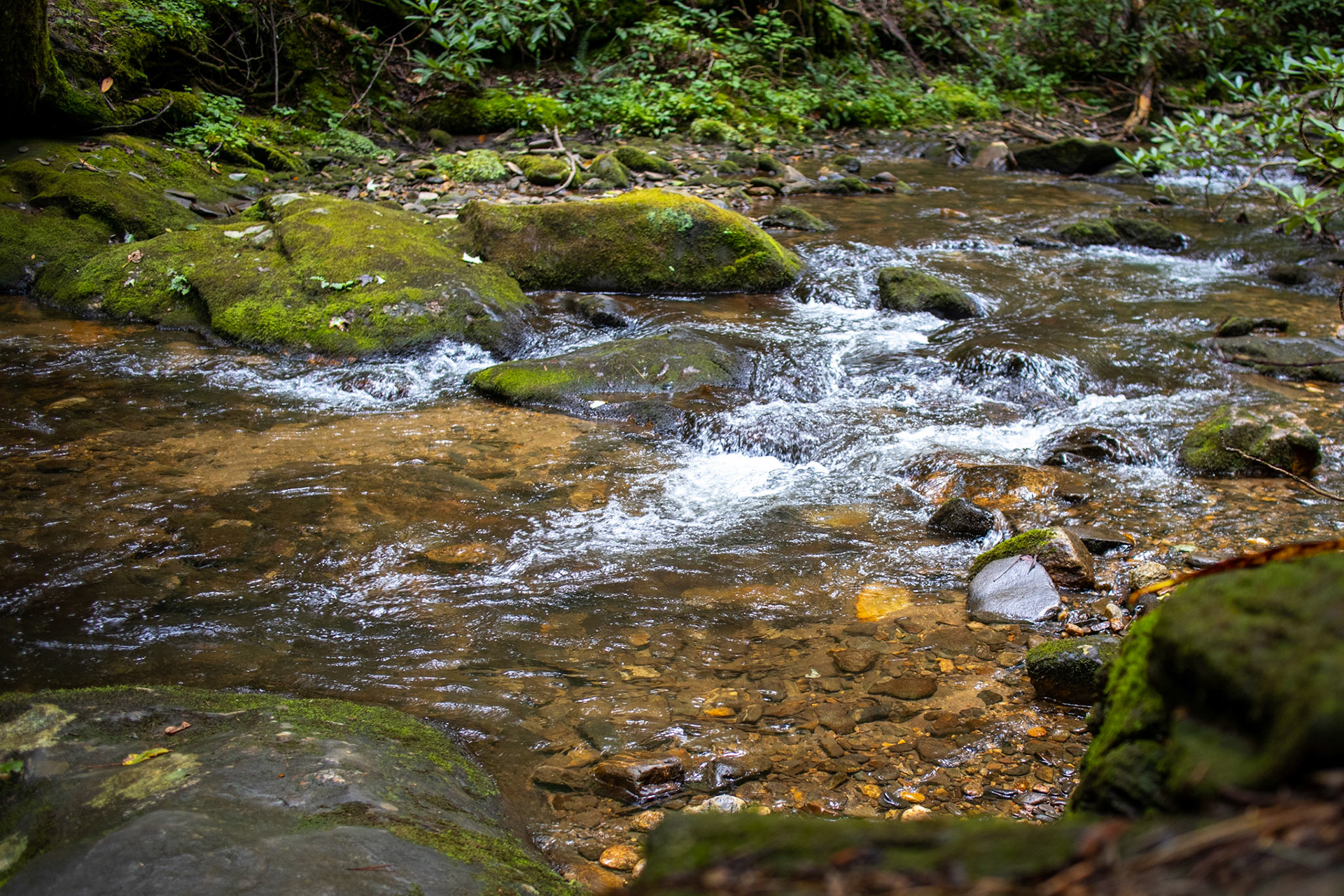 Little Stream