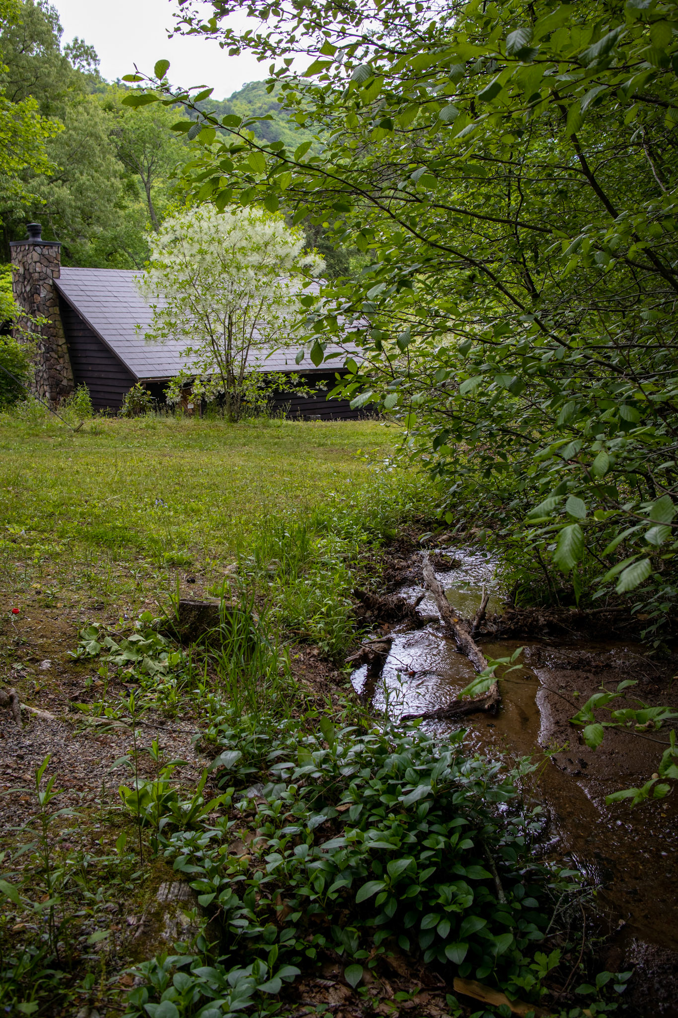 Cottage in the Woods