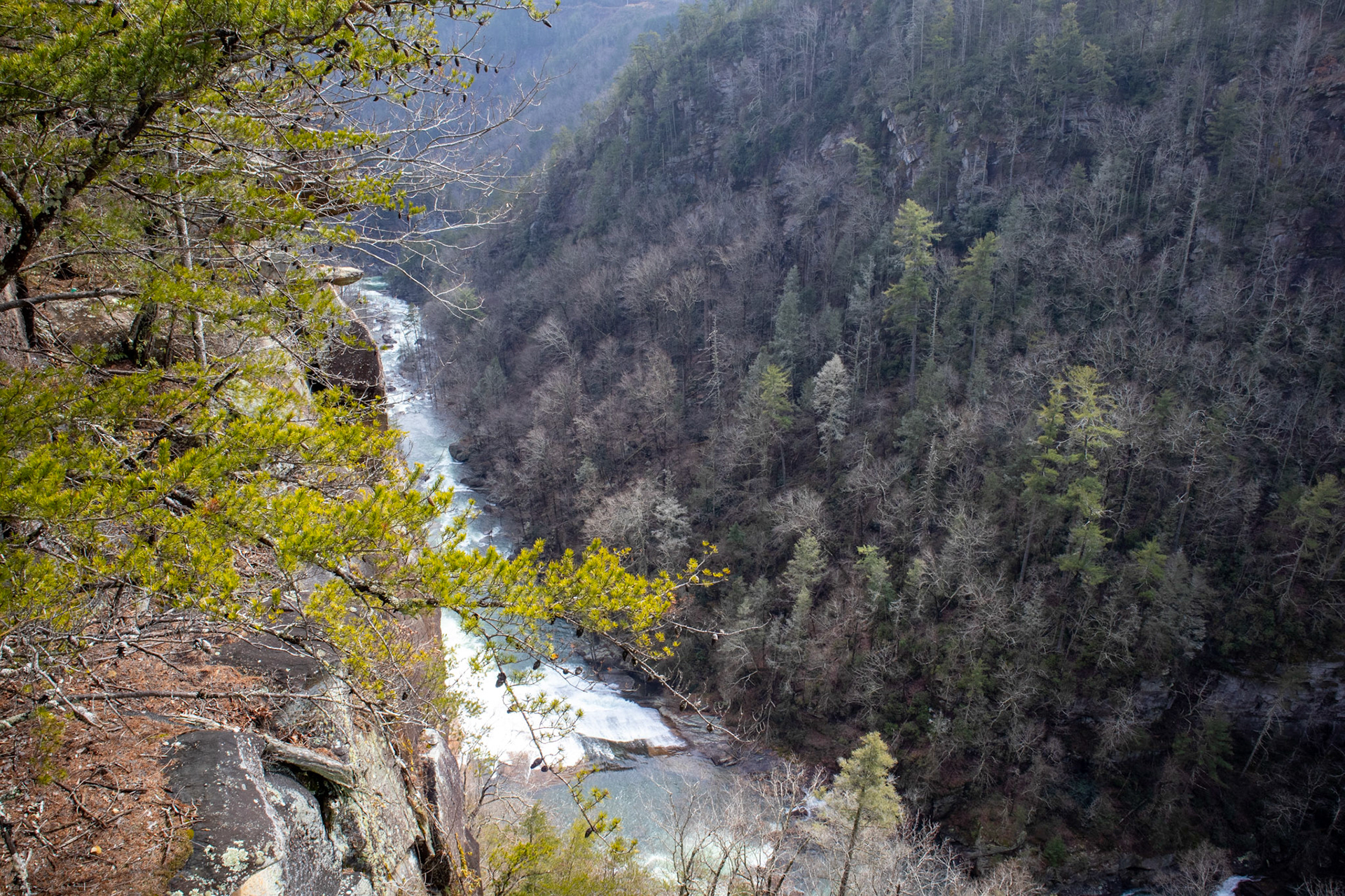 Growing over the Cliff