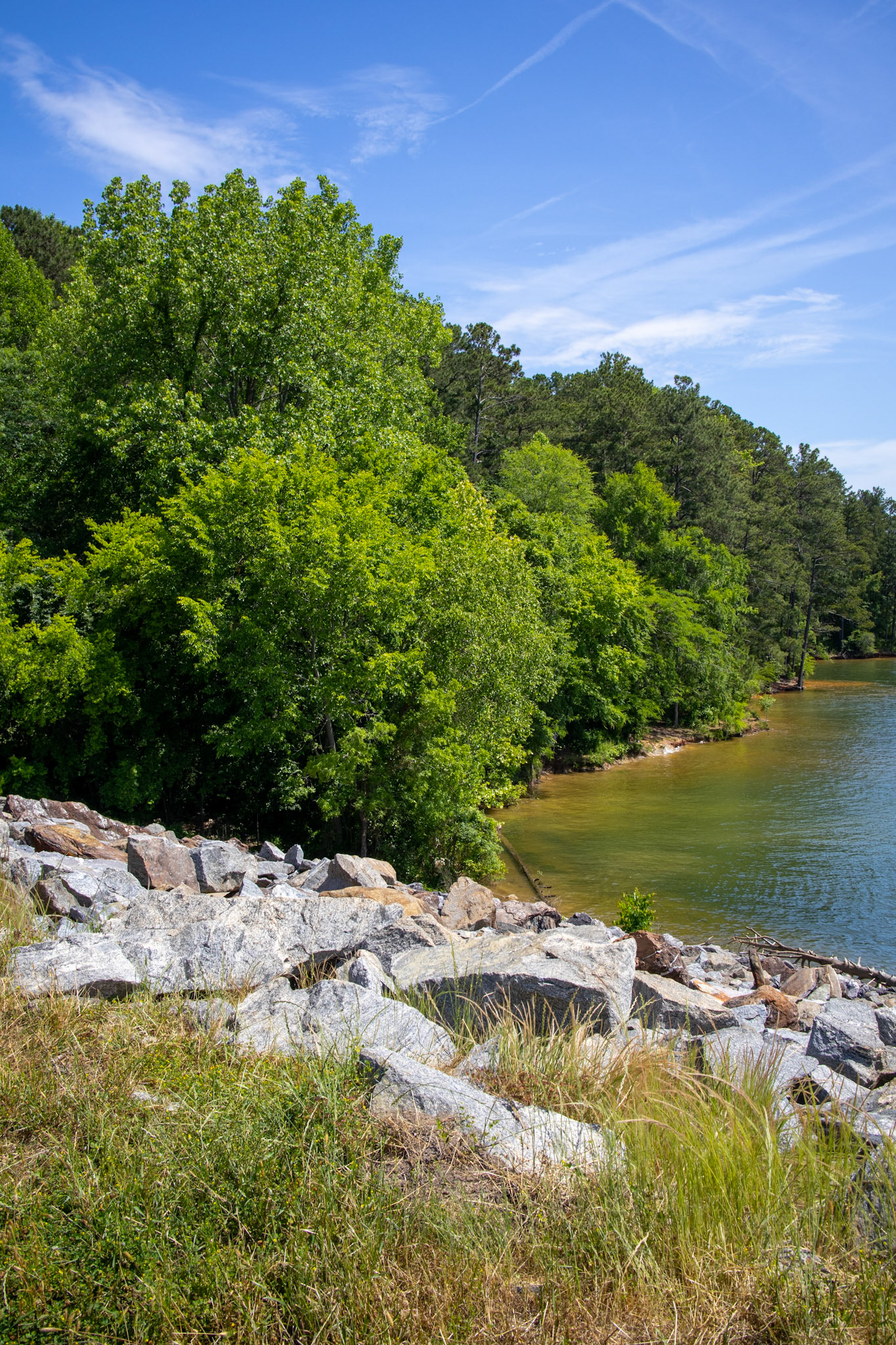 Allatoona Pass Battlefield Shore 