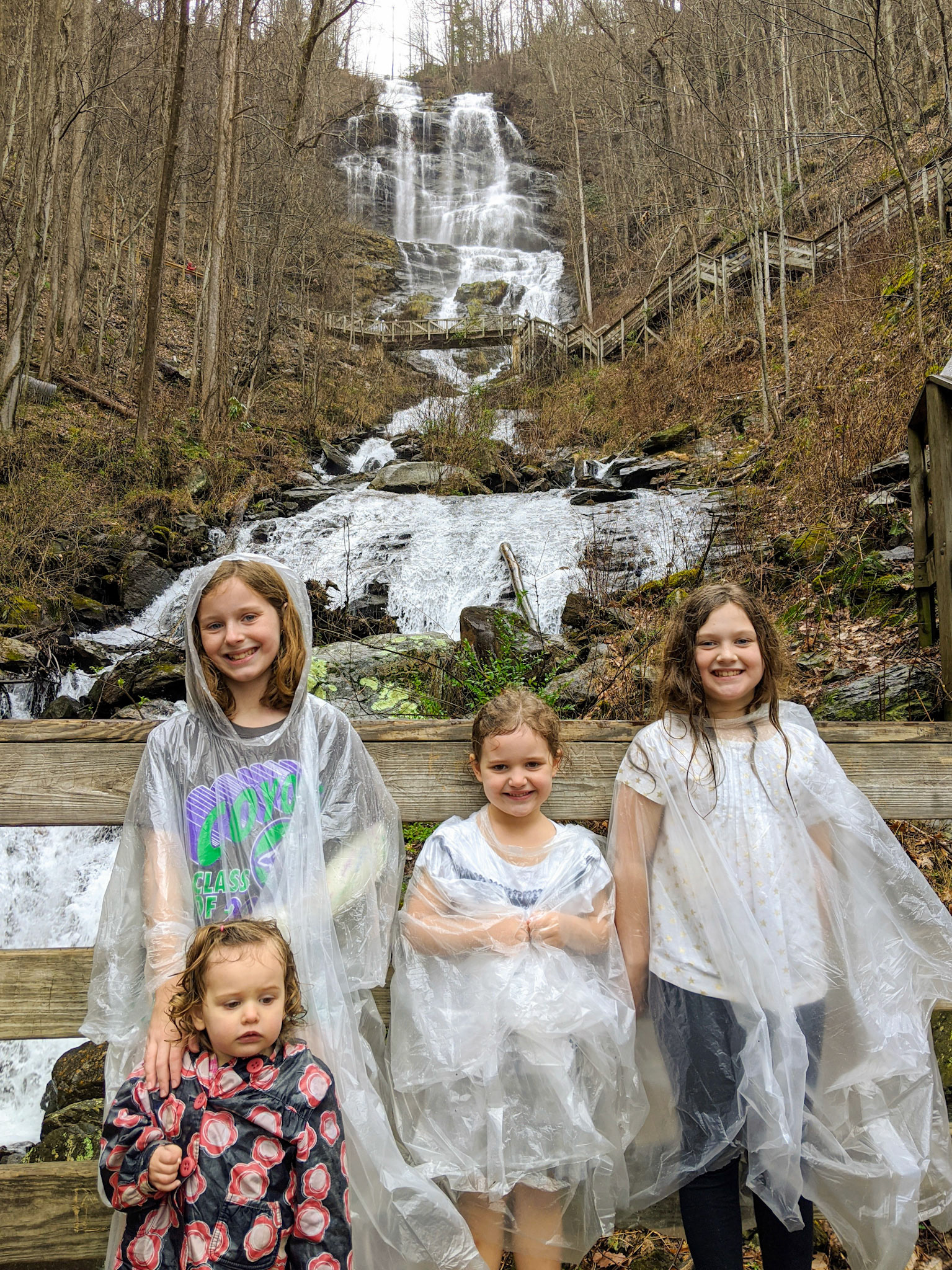 Amicalola Falls Wet Day
