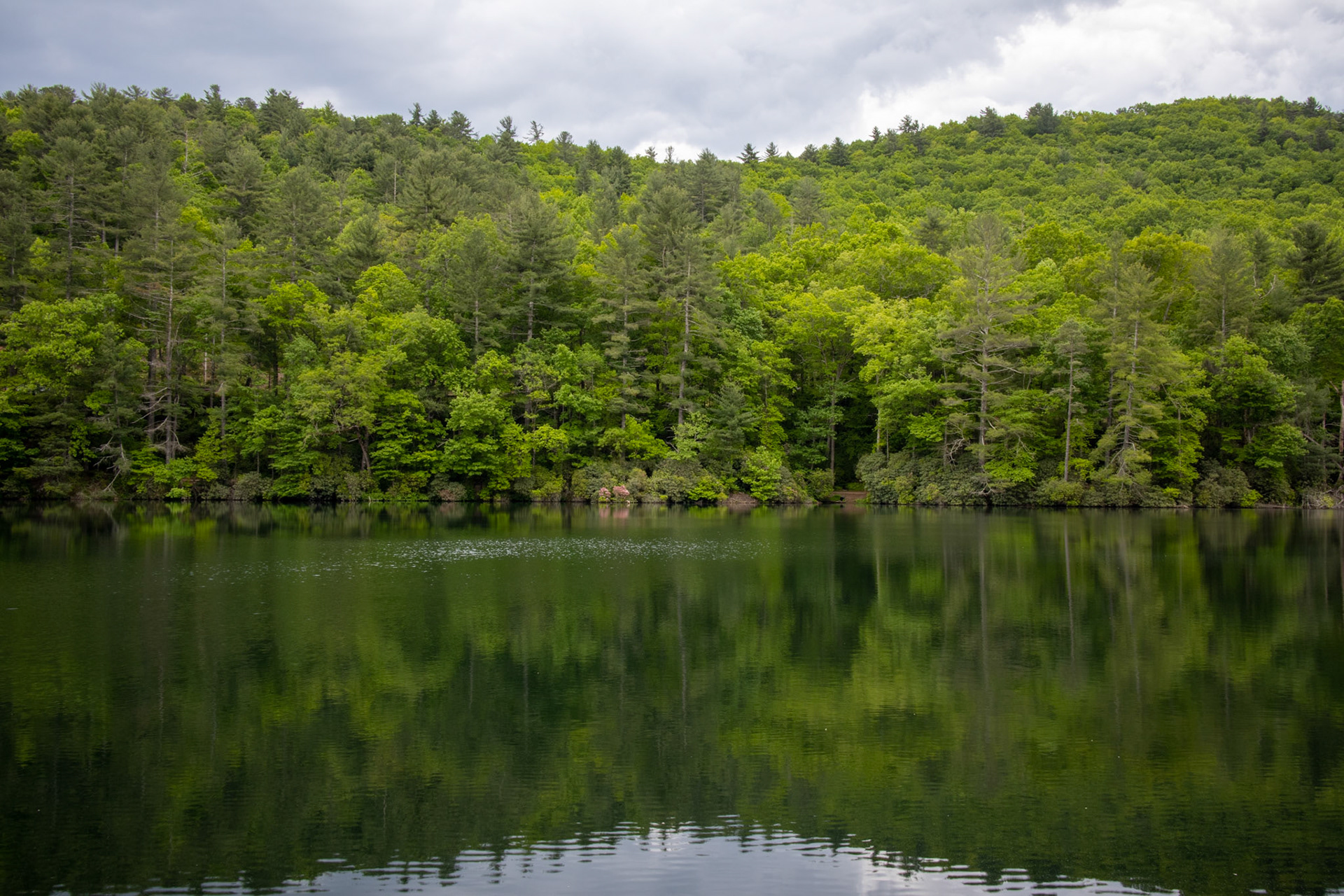 Lake Trahlyta