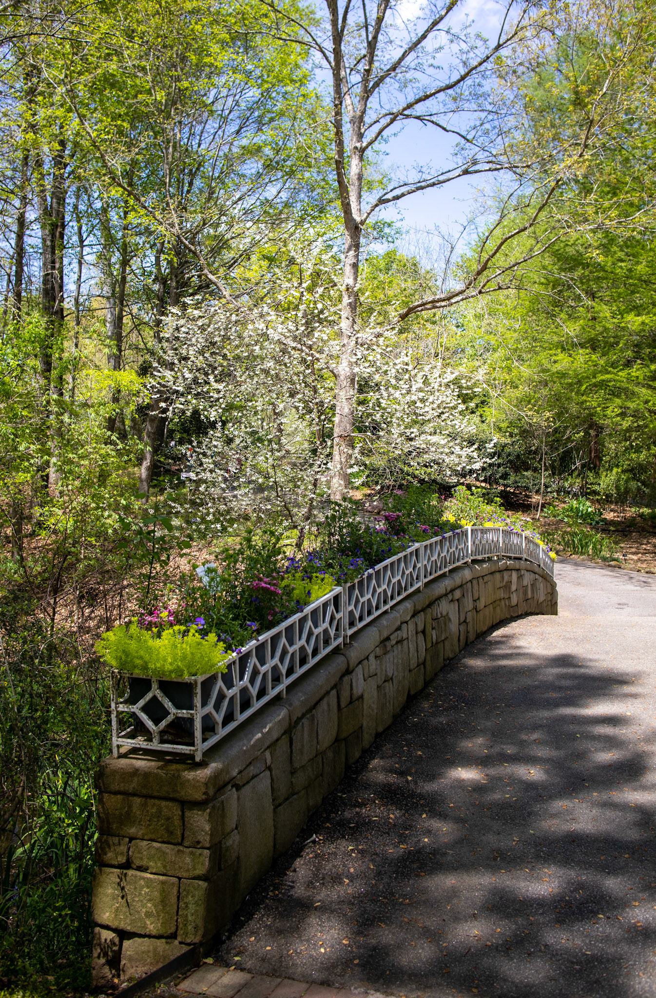 Flowers on the Bridge