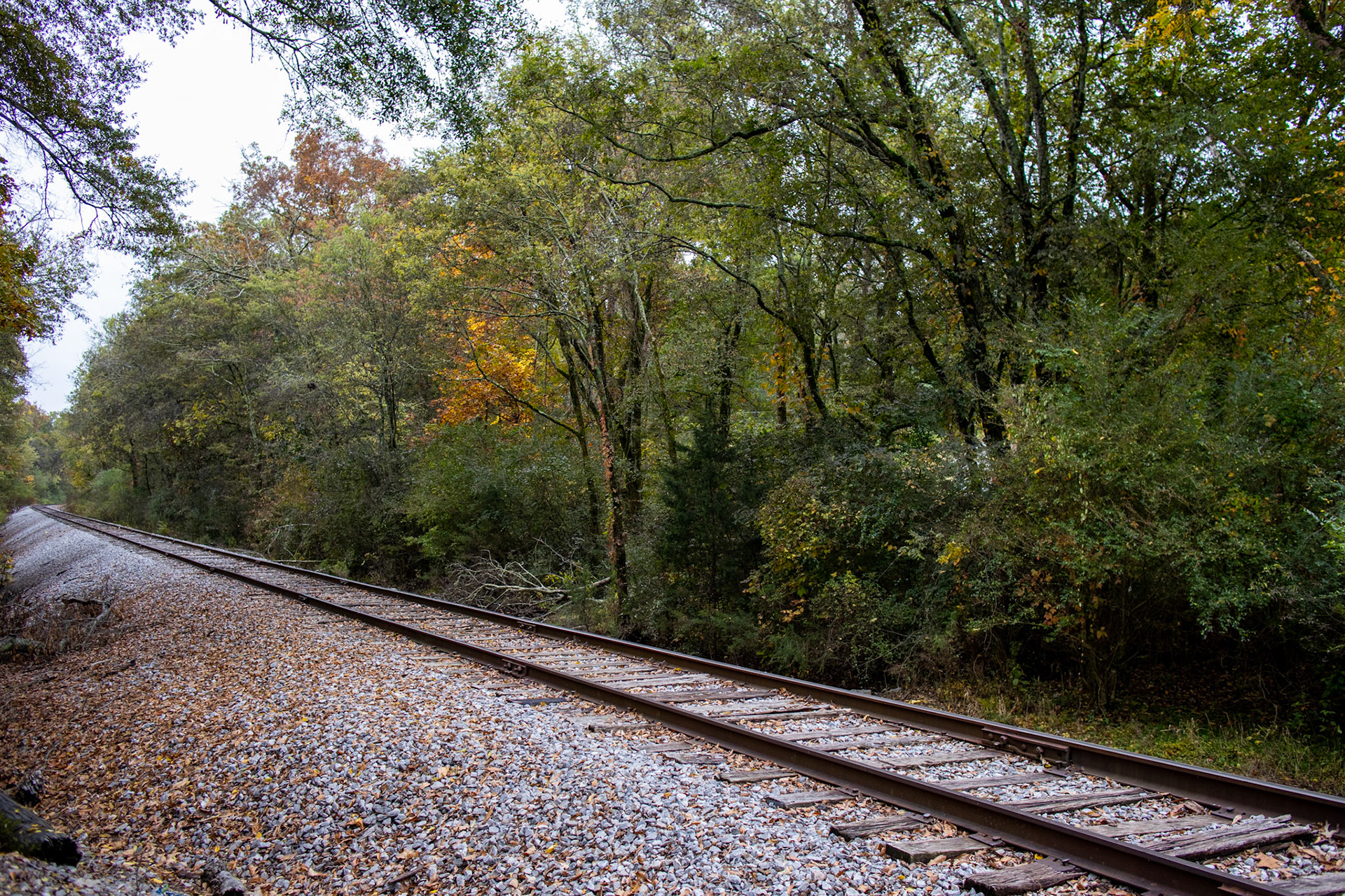 Follow the Tracks