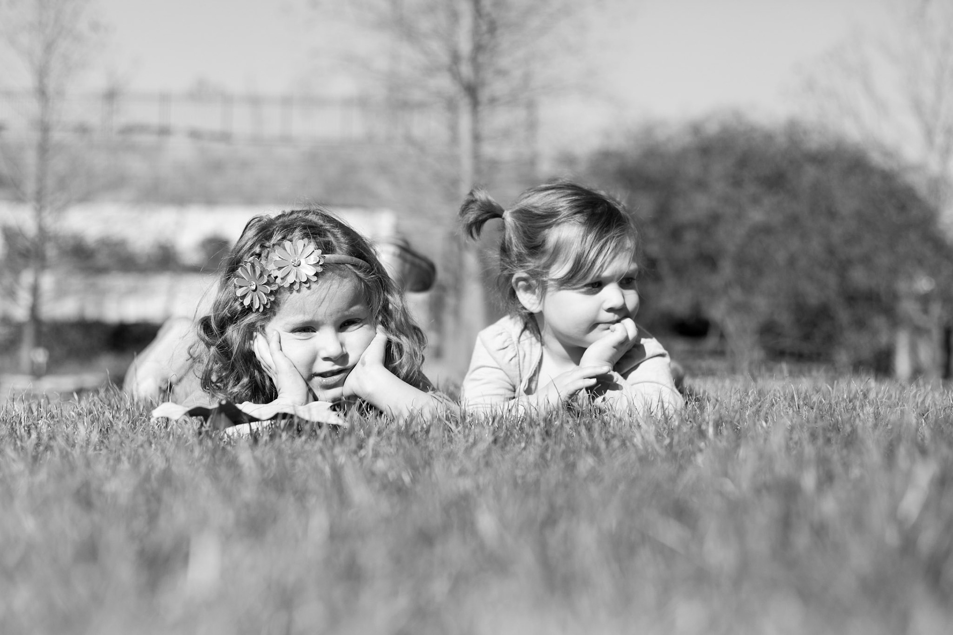 Ballpark in Arlington