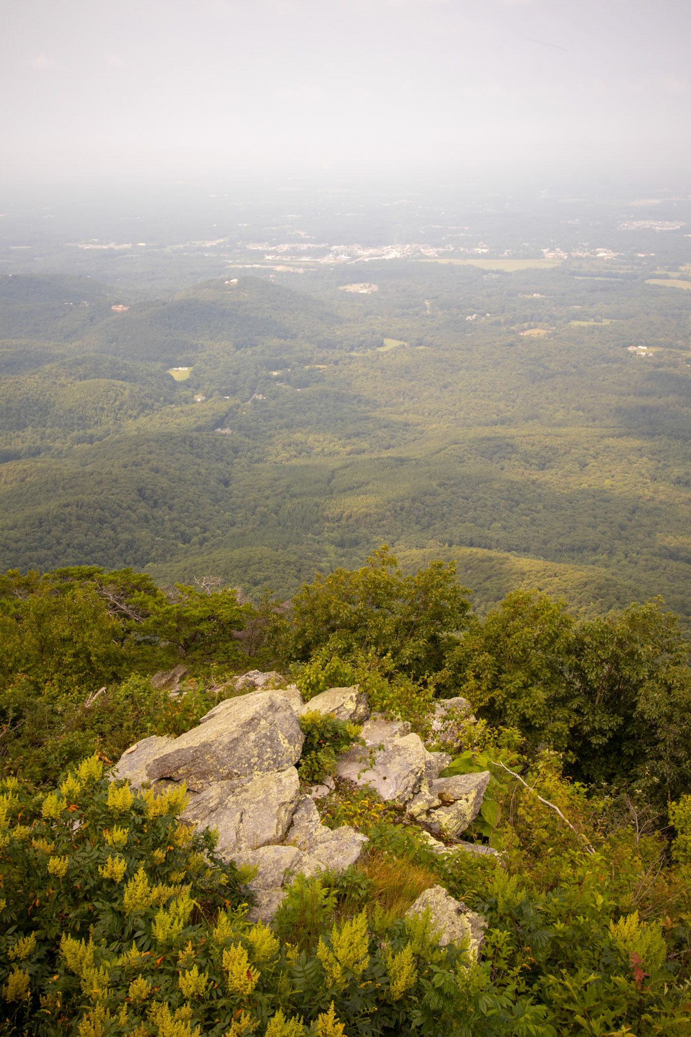 Vertical Mountain View