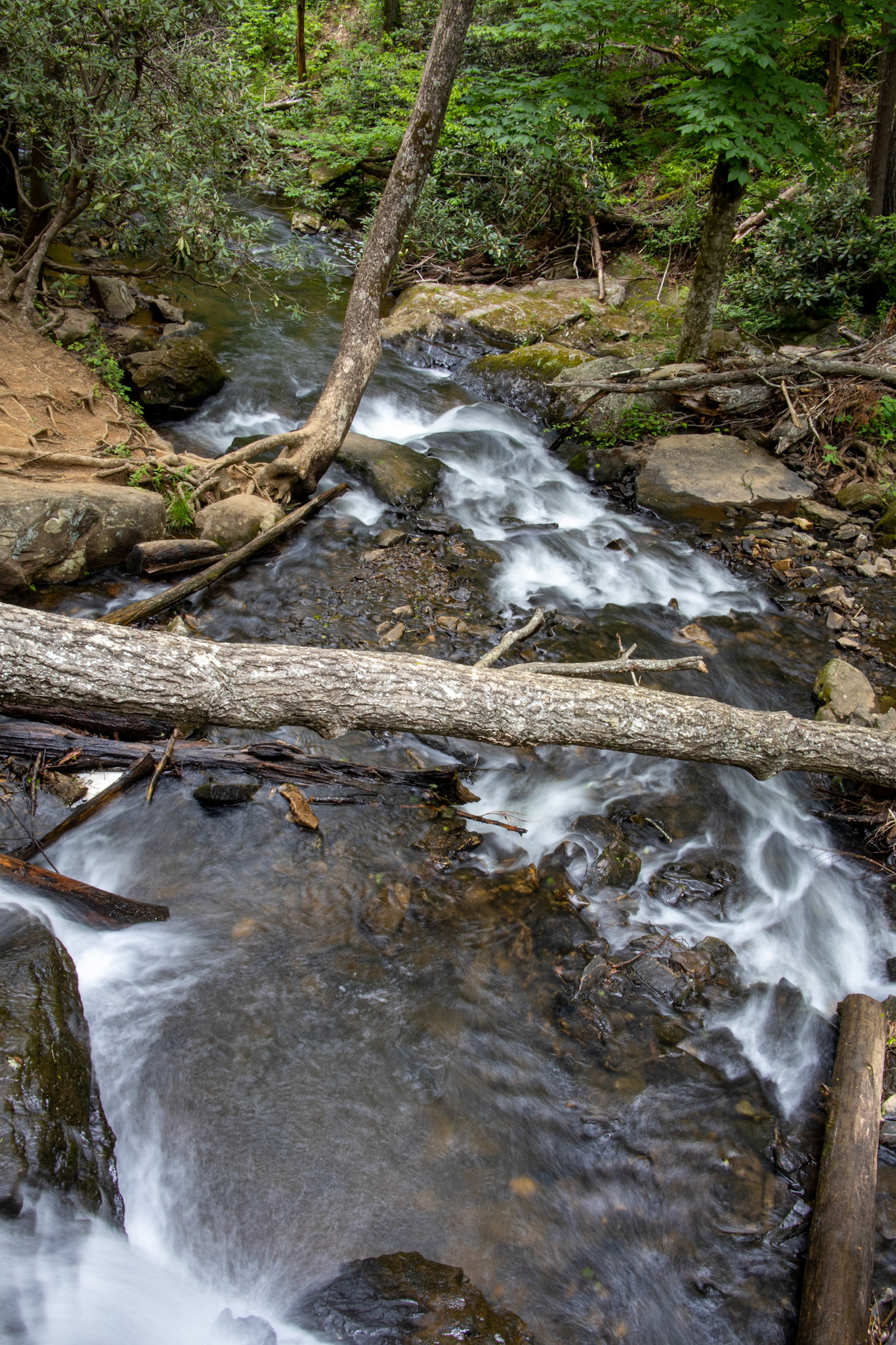 Down the Falls