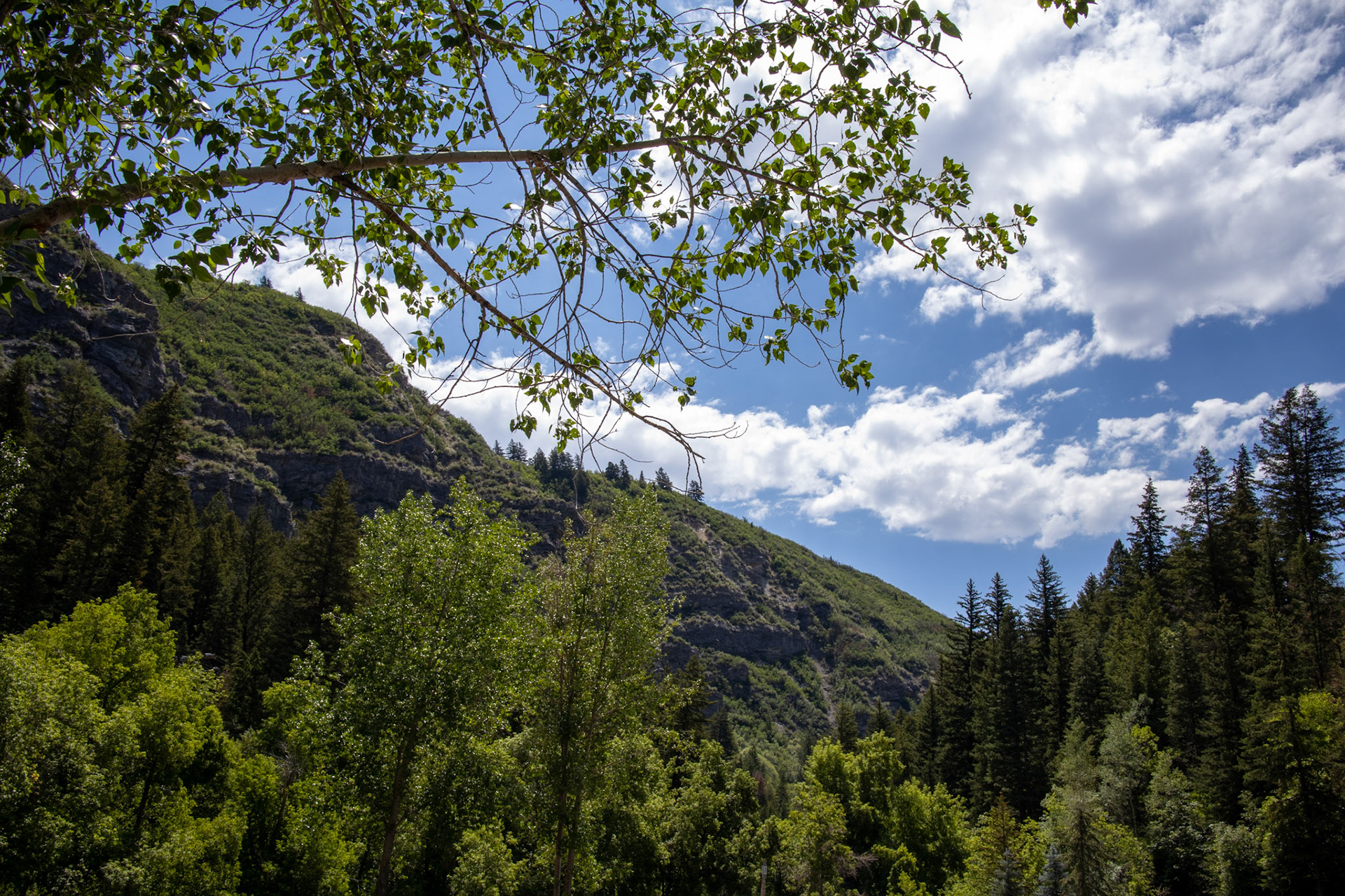 Sundance Setting