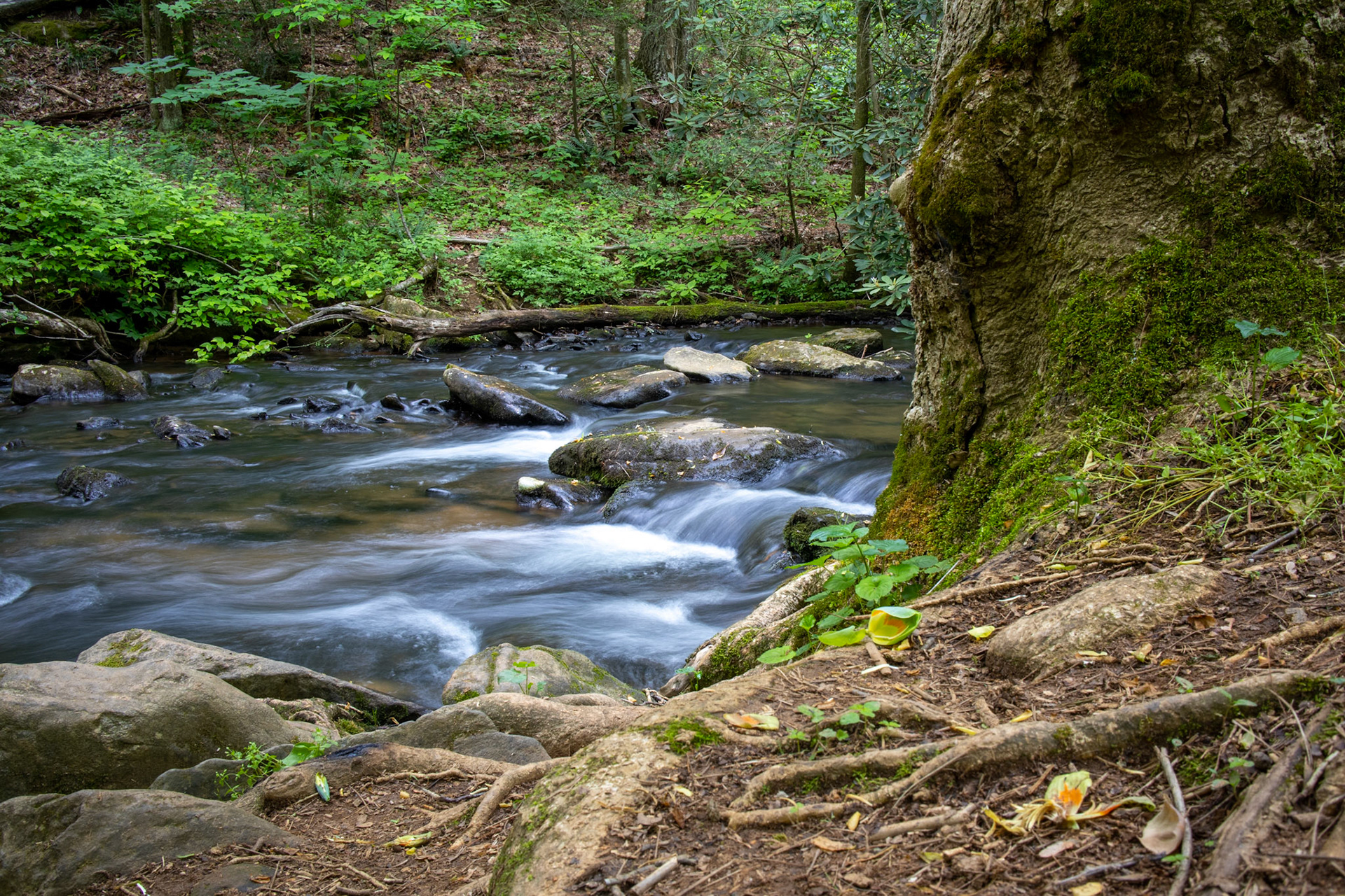 Rushing Waters