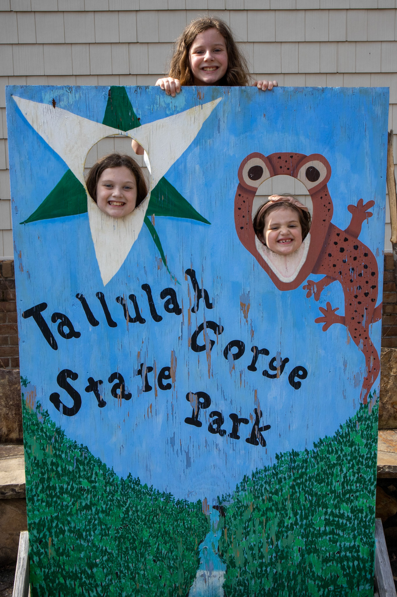 Tallulah Gorge Faces