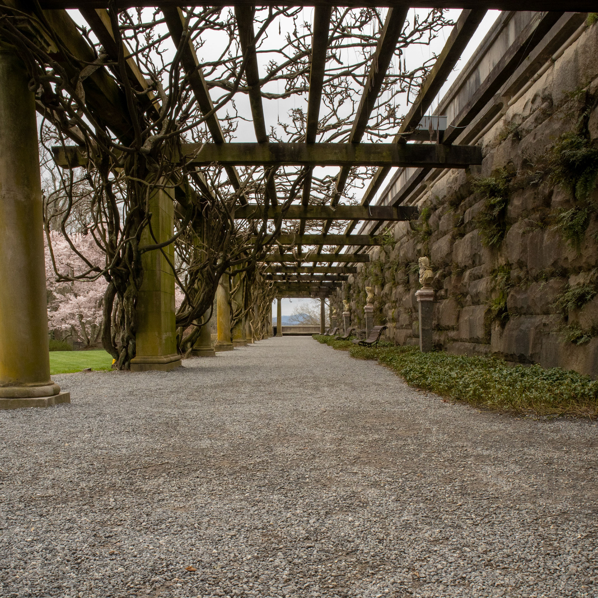 Biltmore Walkway