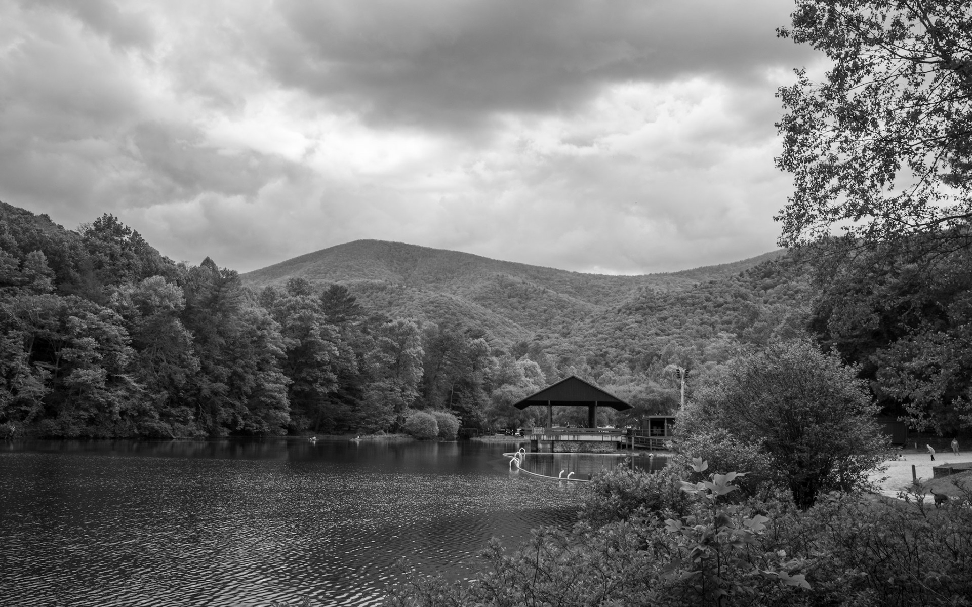 Vogel State Park