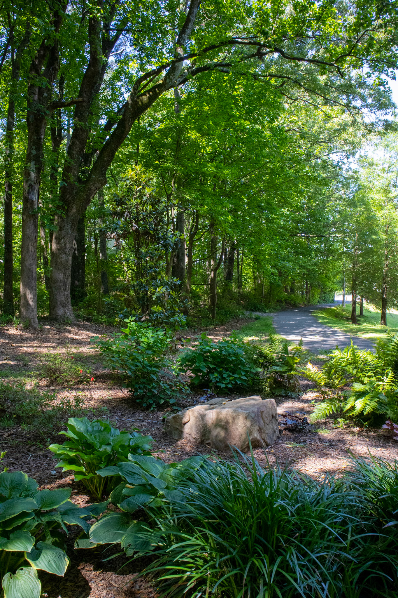 Rock Tree and Path