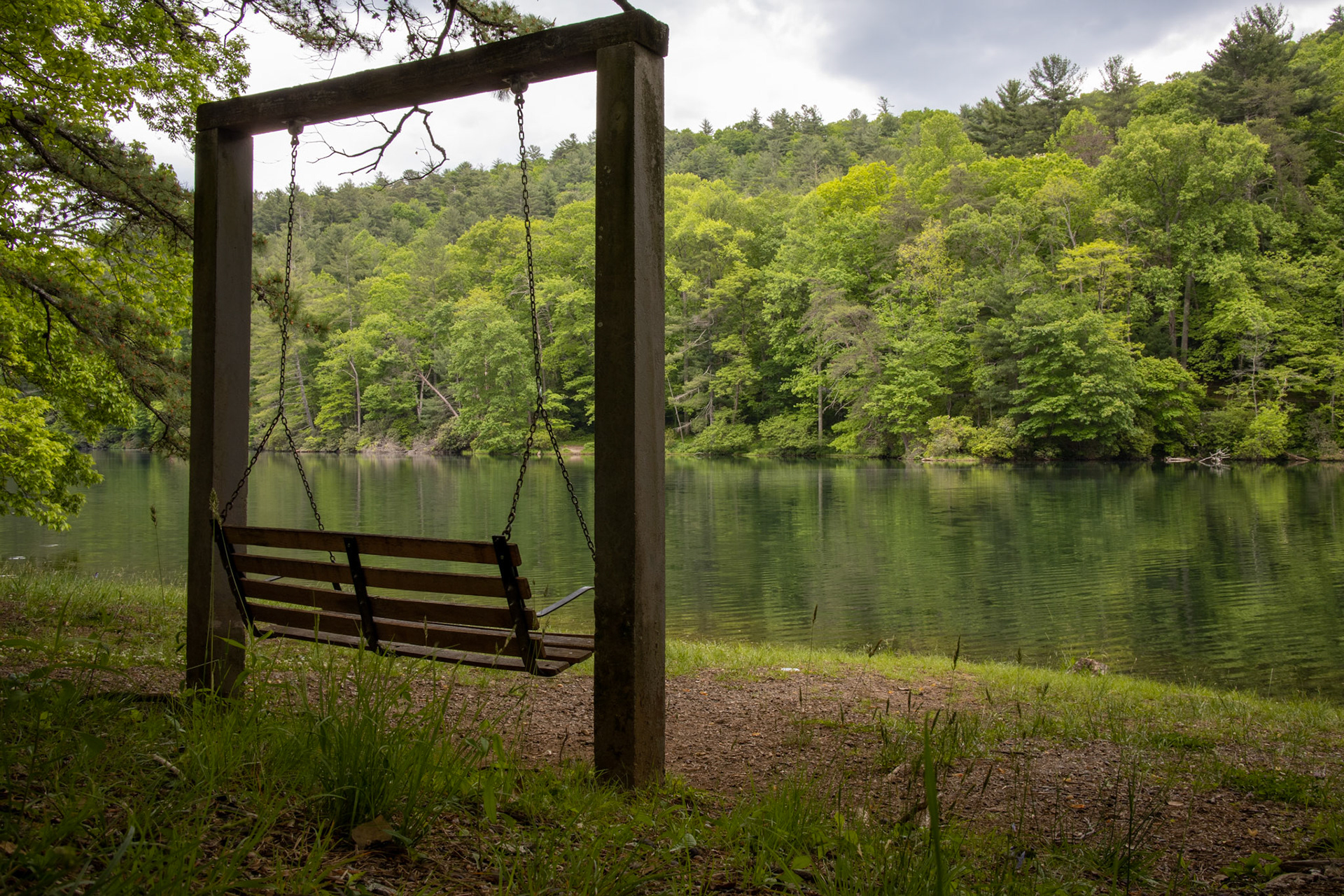 Quiet Reflection