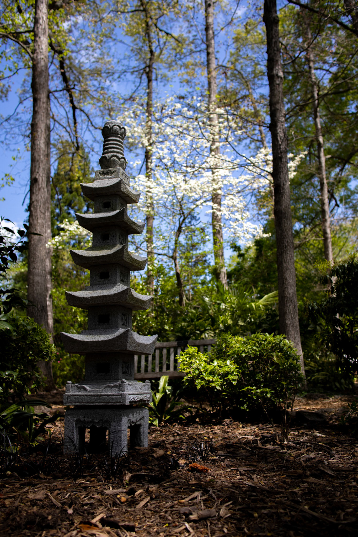 International Garden