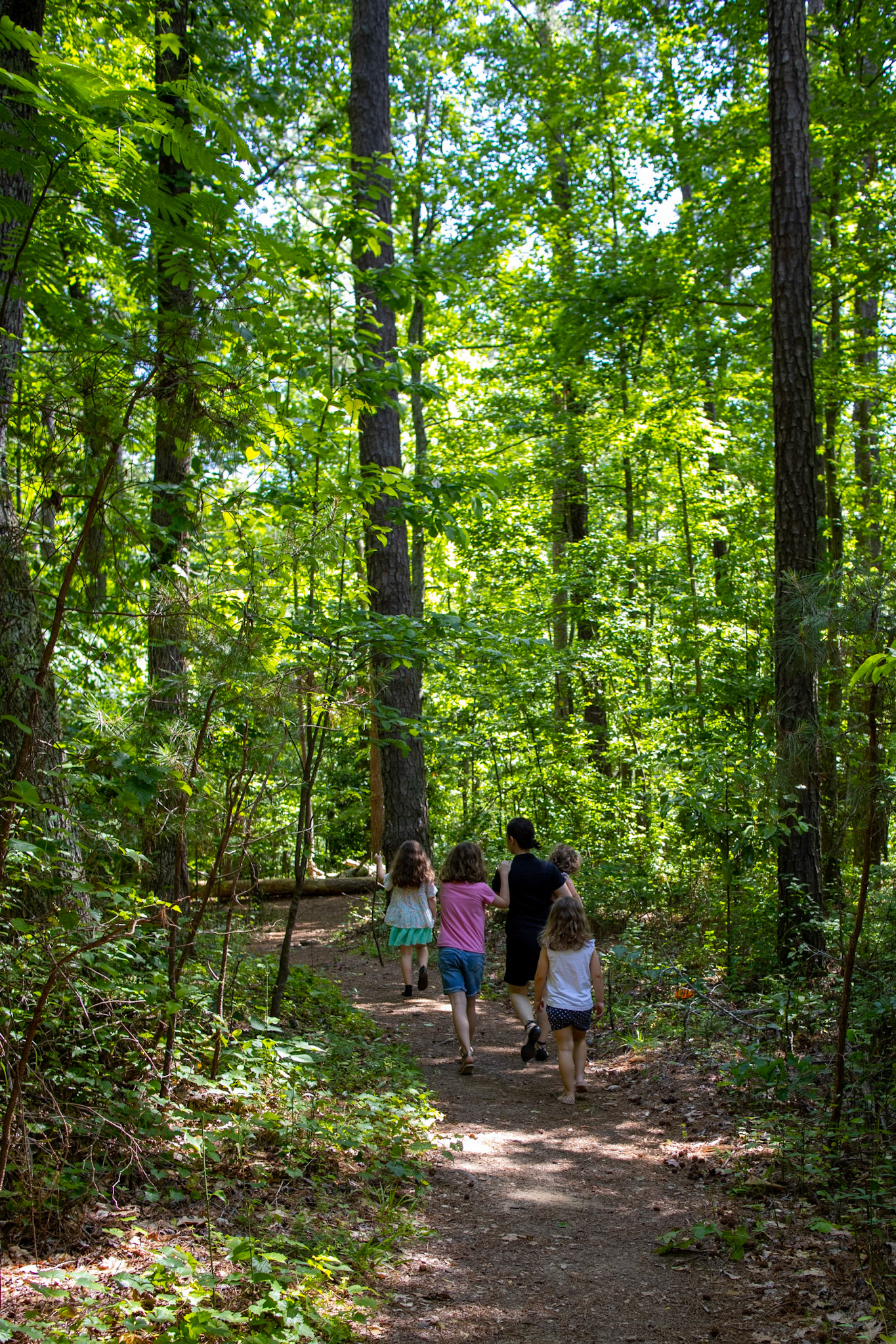 Allatoona Pass Battlefield Hike 