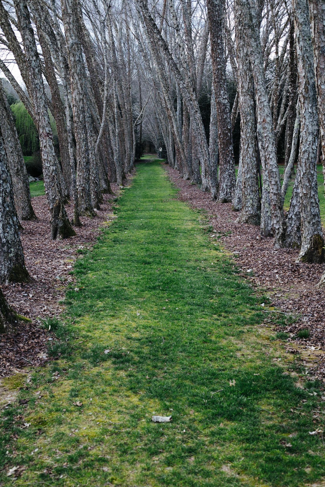 Green Path