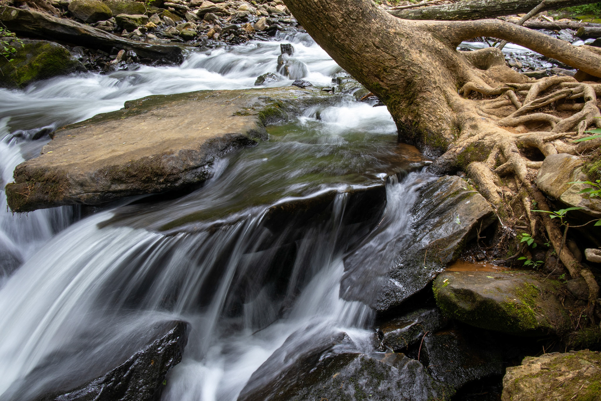 Water Source