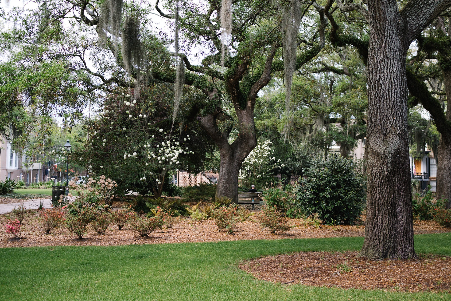 Mossy Square
