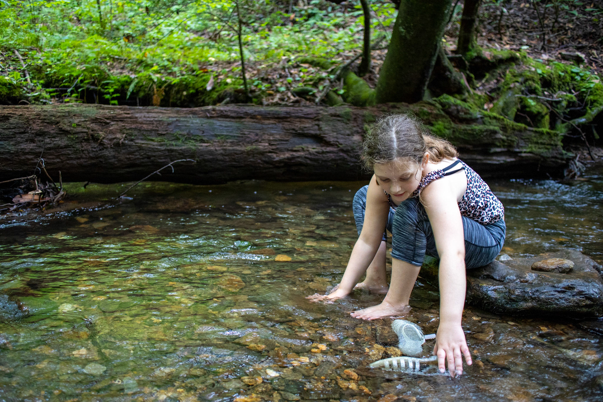 Feet in the Creek