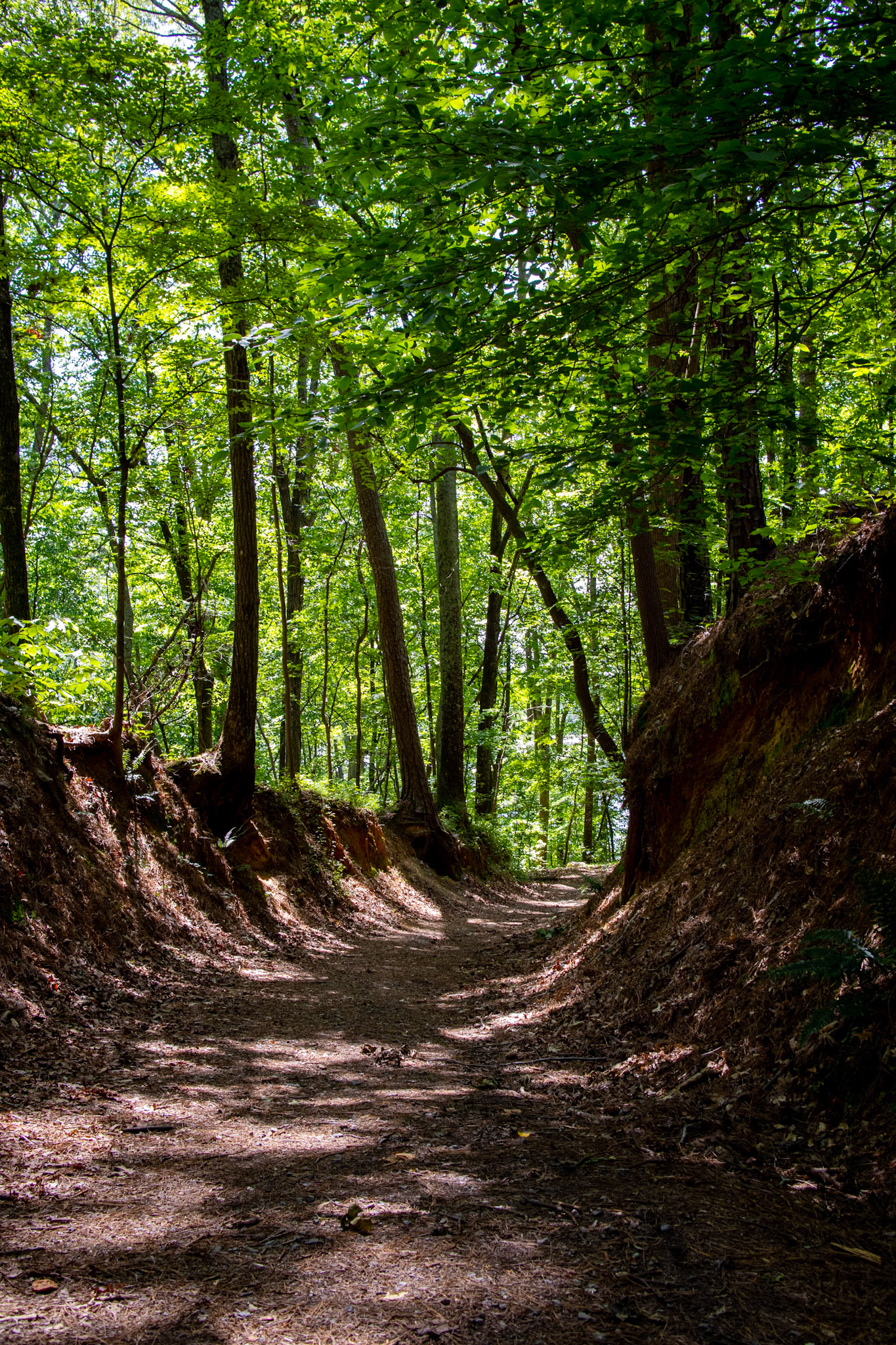 Allatoona Pass Battlefield Trail 