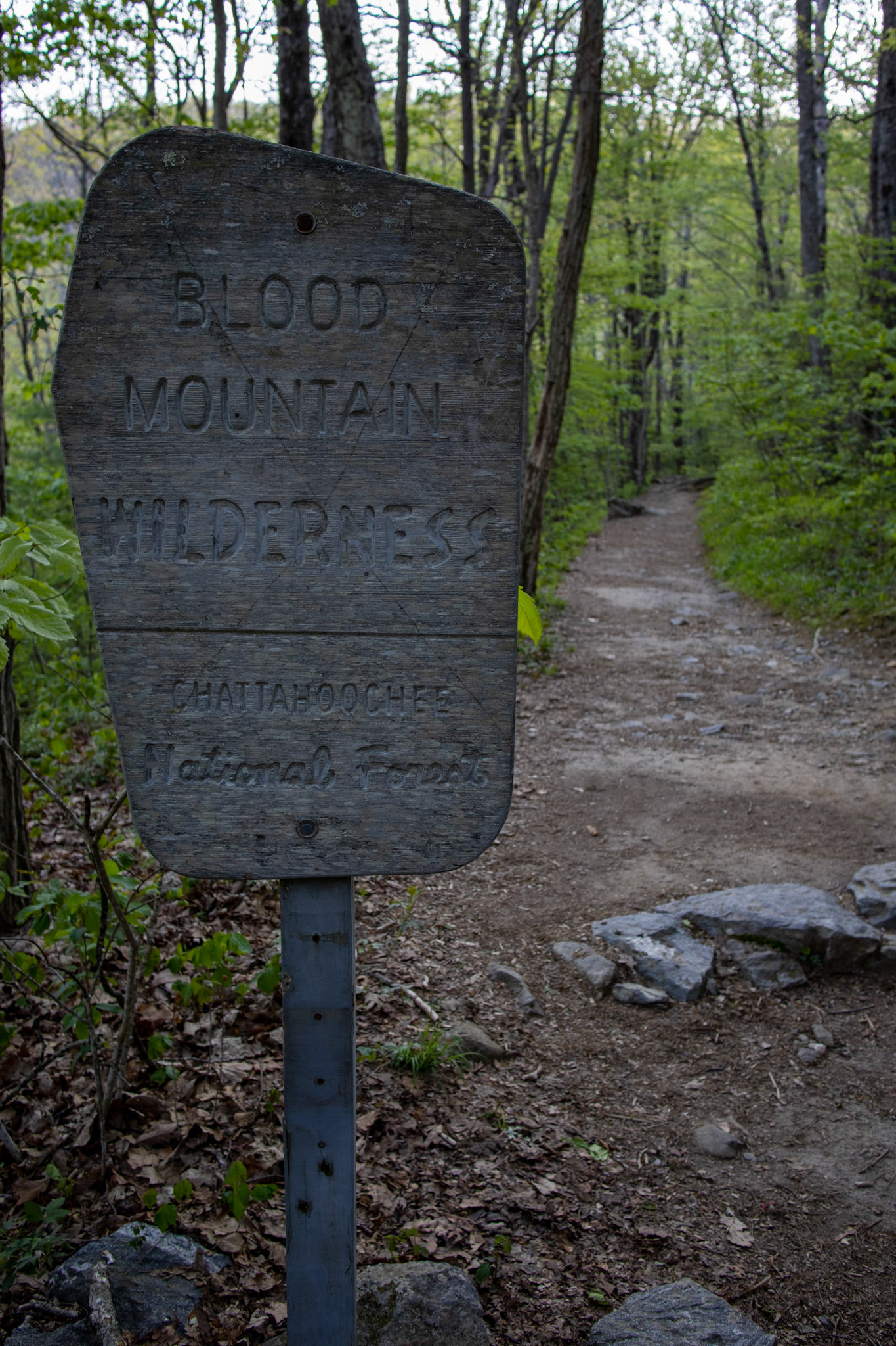 Blood Mountain Wilderness