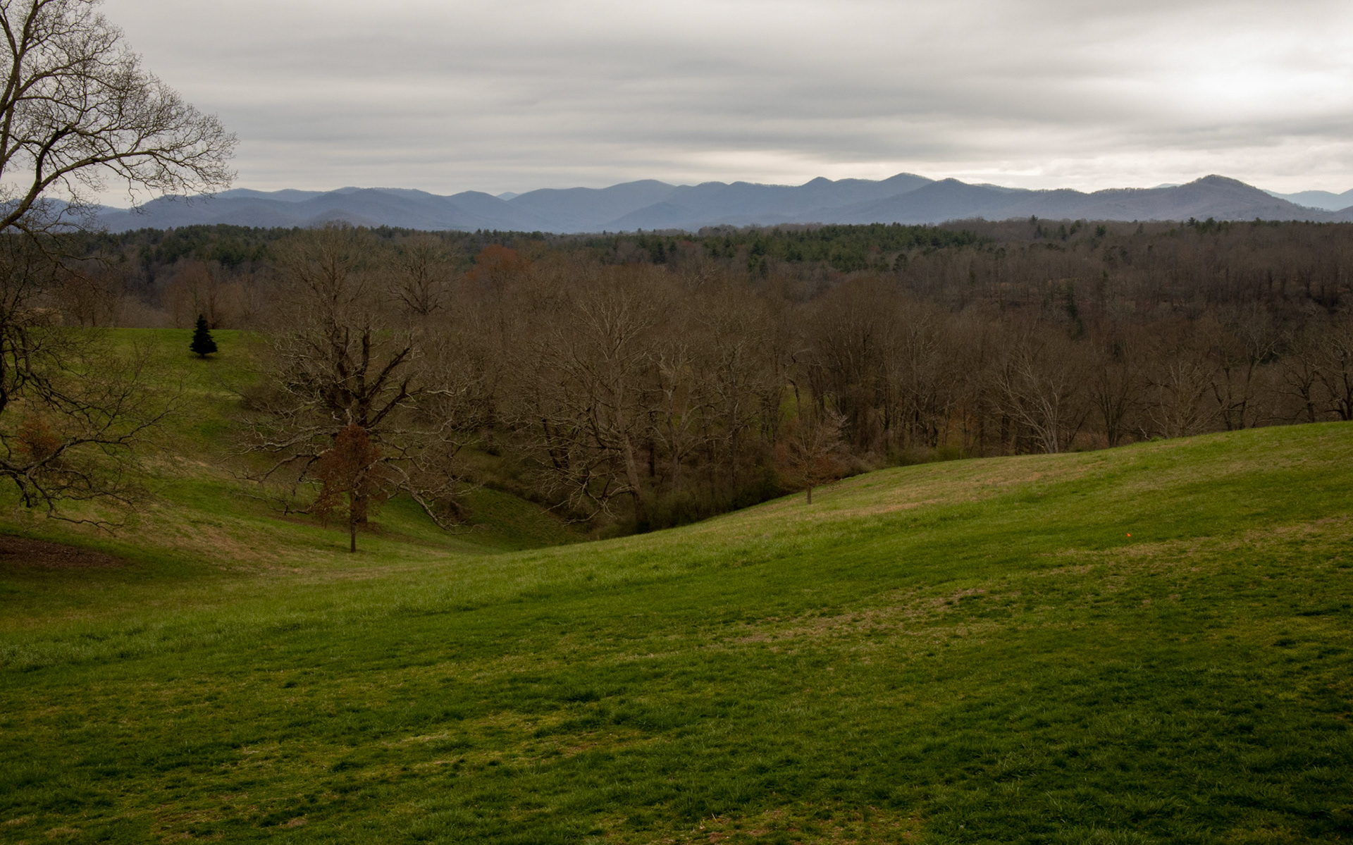Biltmore Blue Ridge View