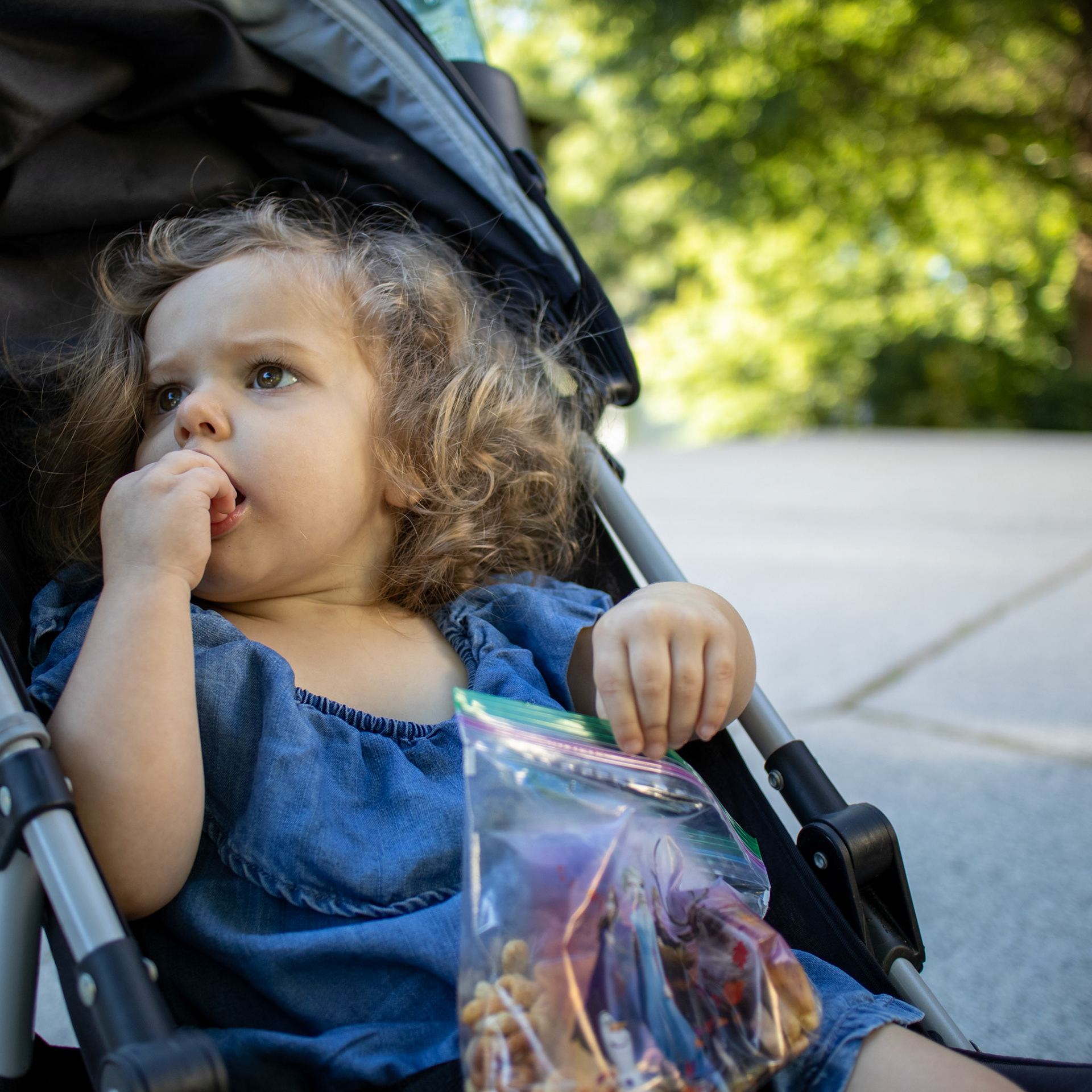 Morning Stroller Ride