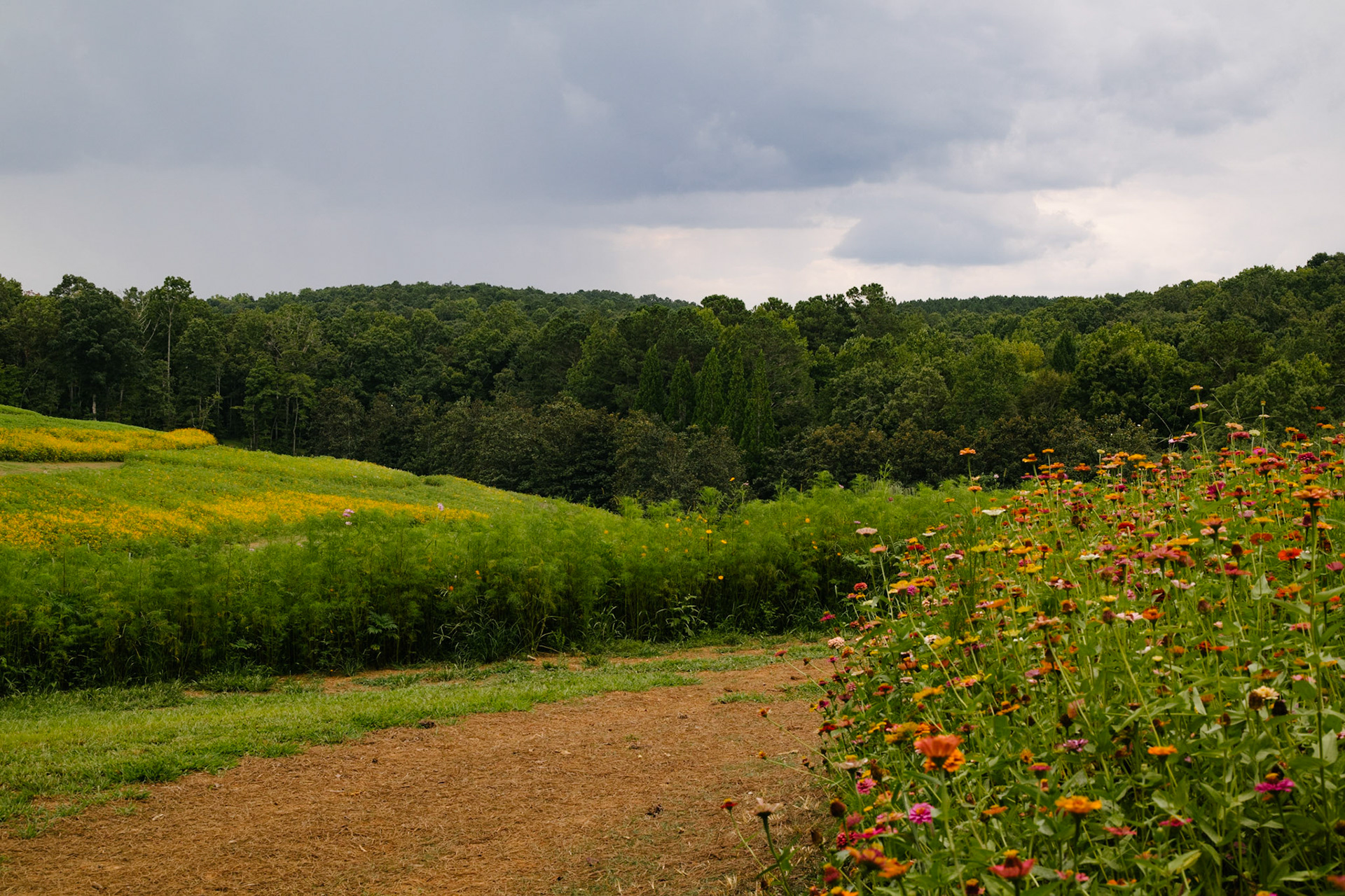 Flowered Path