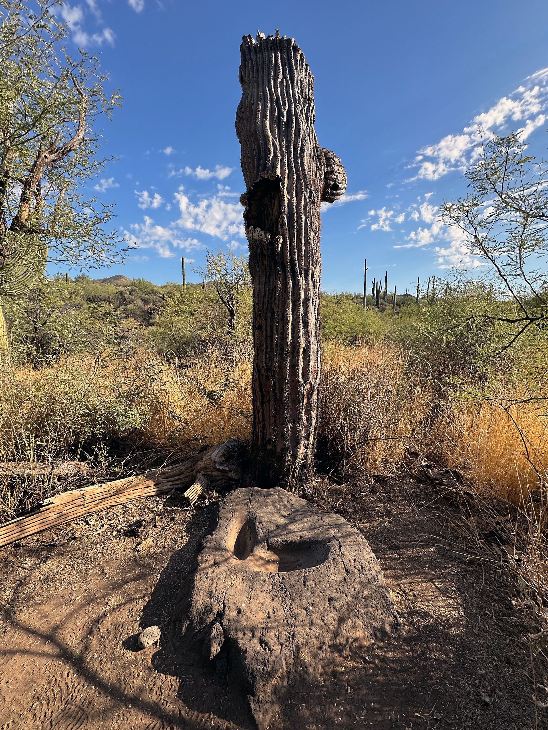 from AFTERLIFE chapter