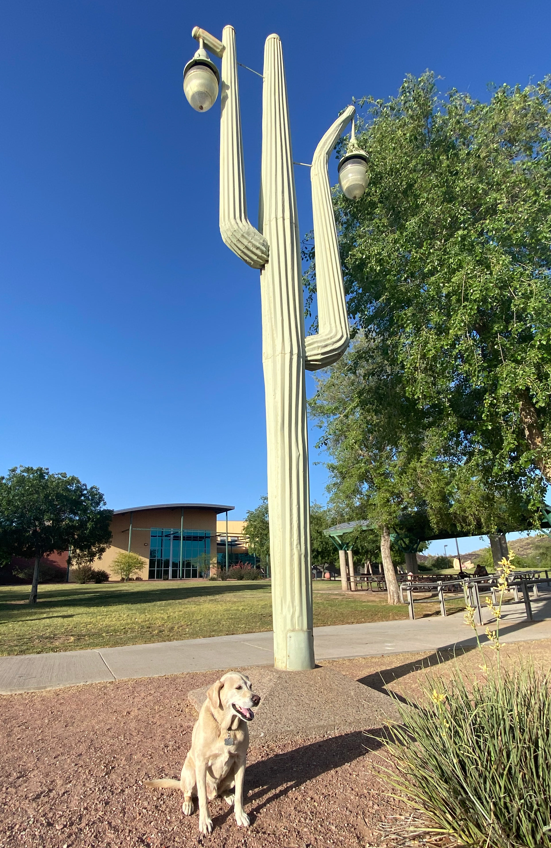 from PERSPECTIVES chapter