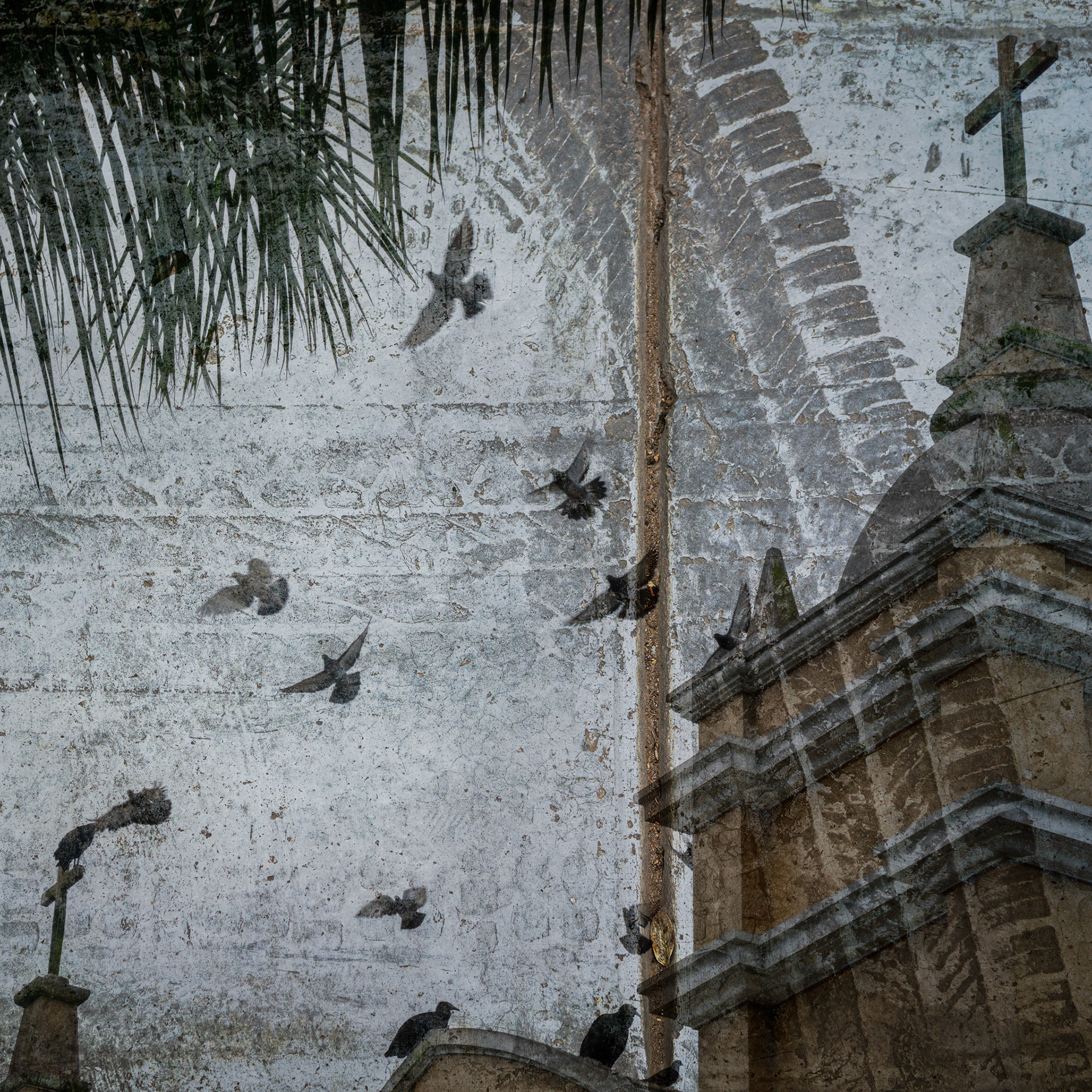 Lima arriba / Lima abajo III