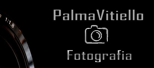 palma vitiello