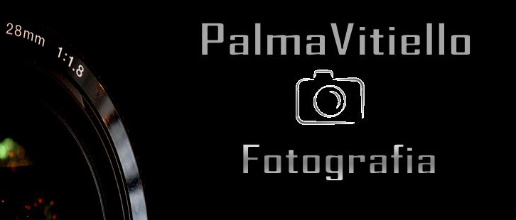 palma vitiello