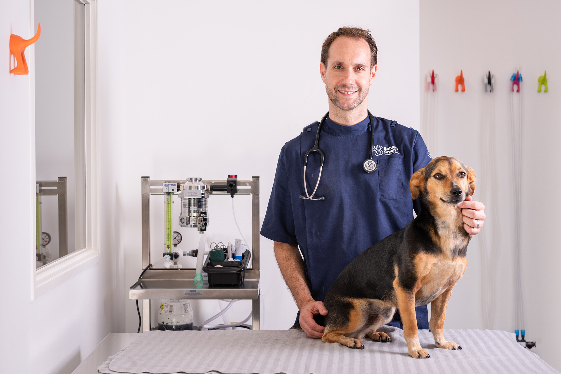 Portrait of a male vet examining a dog