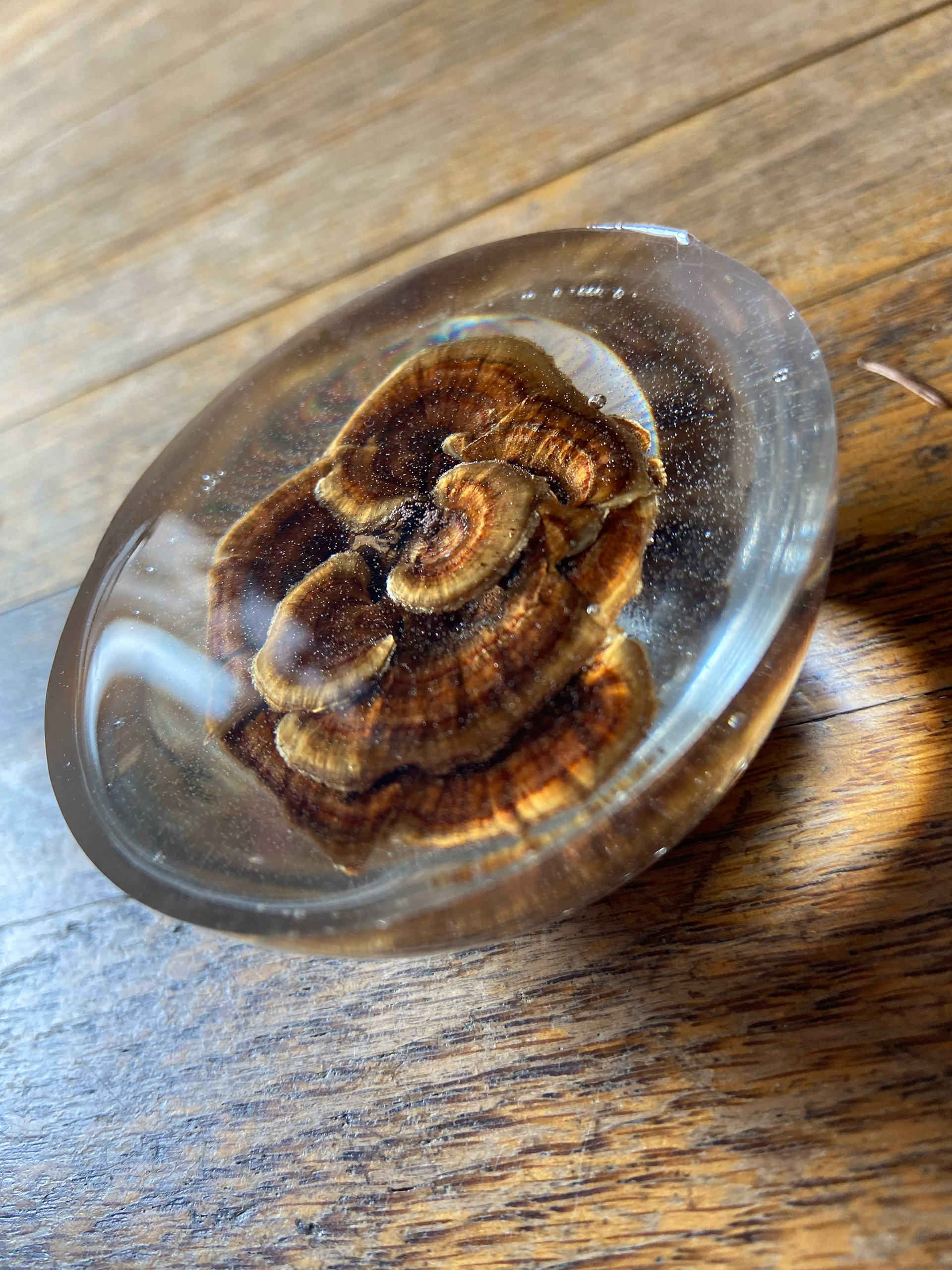 Resin Mushrom