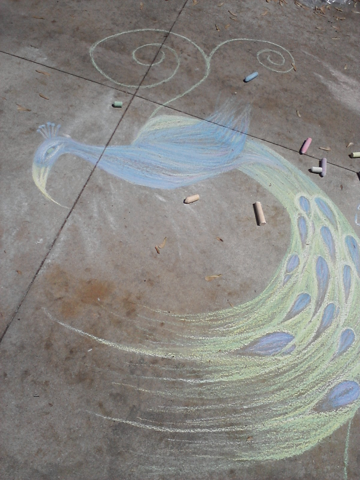 Peacock