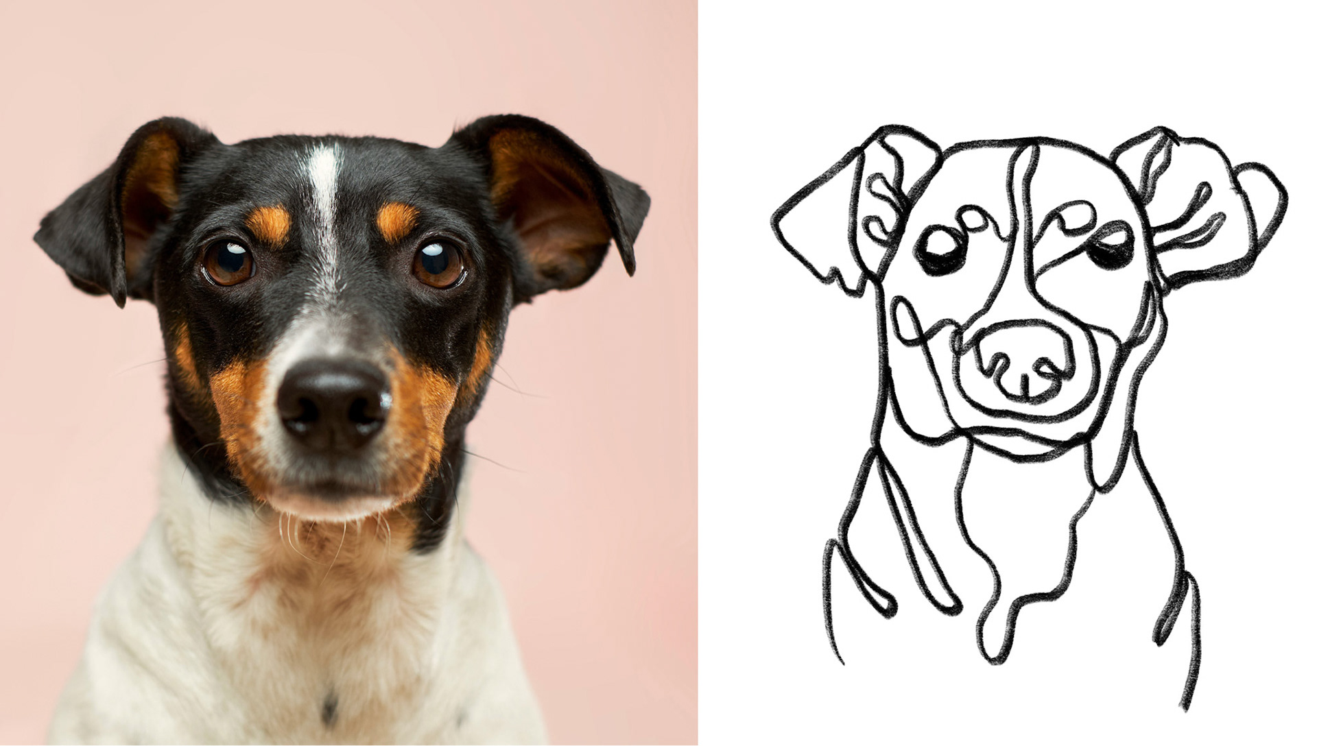 Digital illustration using Procreate