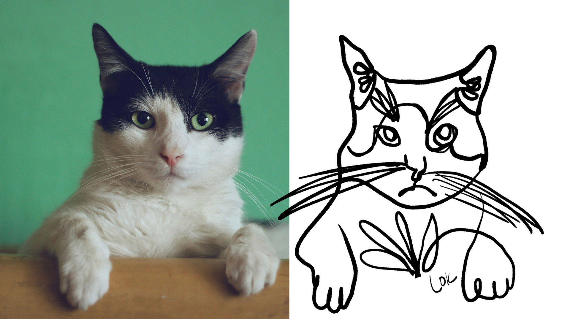 Digital illustration using Procreate