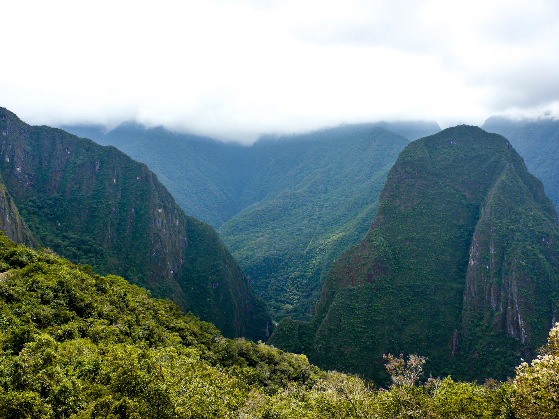 P1090211 Machu Picchu