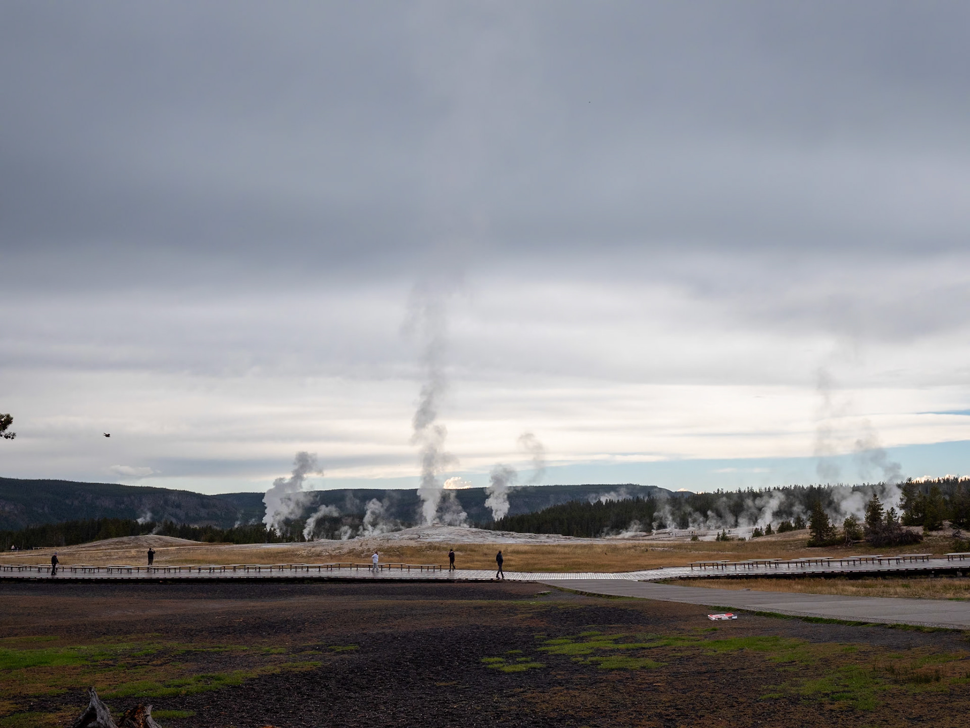 P1124330 Yellowstone National Park
