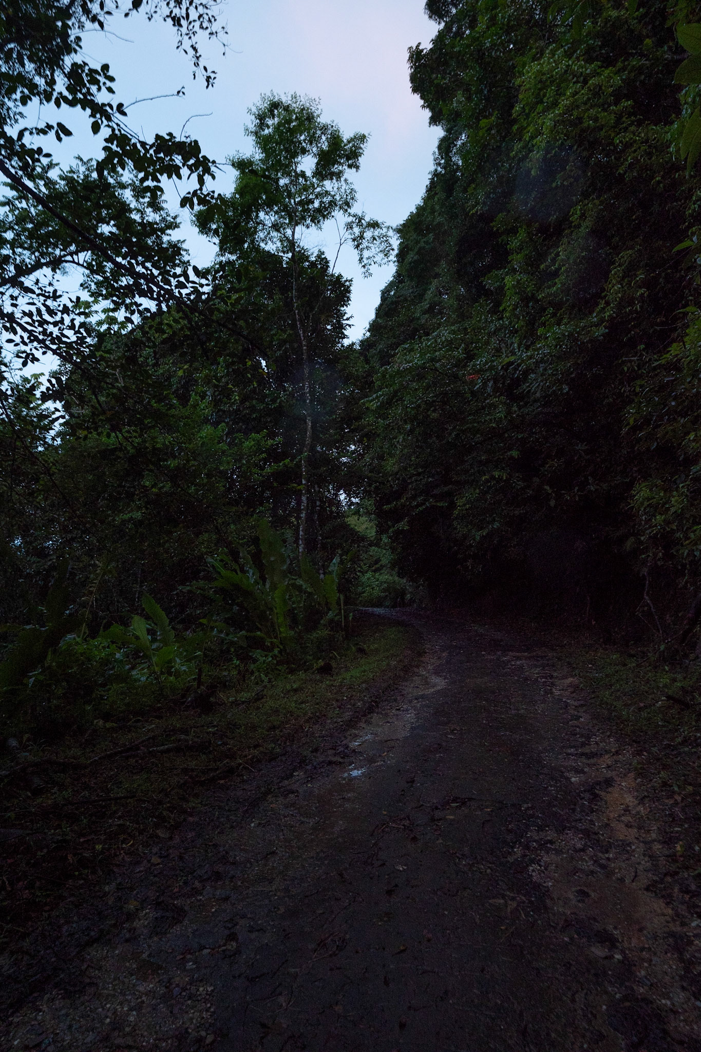 P1072652 The trail gets dark as night approaches